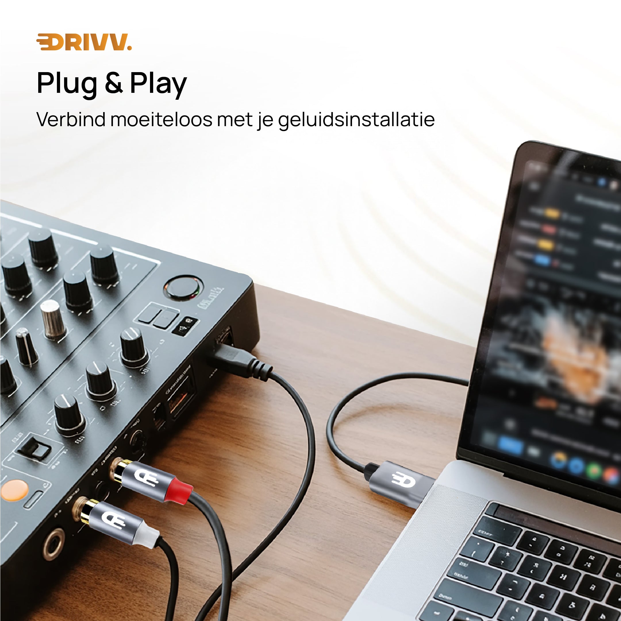 USB C naar 2RCA Kabel